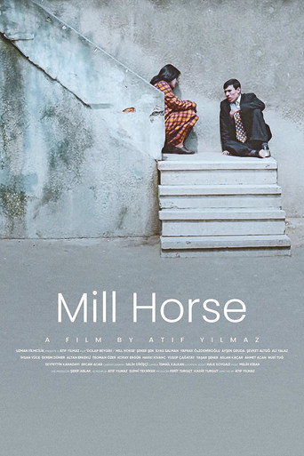 Poster for “Mill Horse”