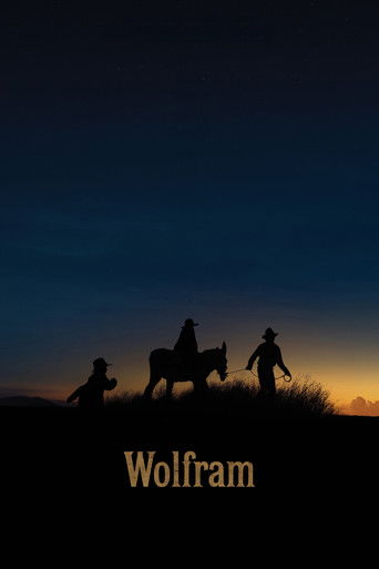 Poster for “Wolfram”