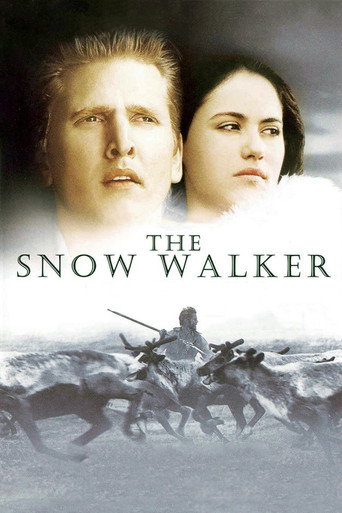 Постер фильма «Потерянный в снегах»