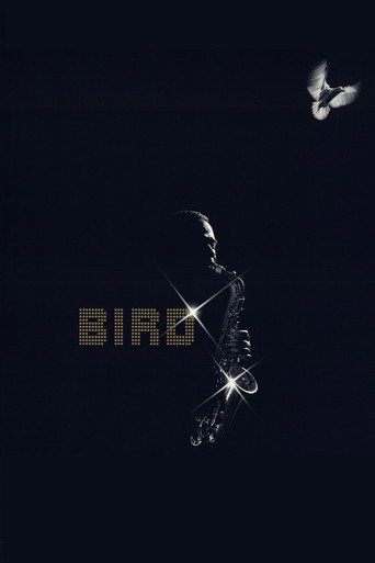 Poster for “Bird”