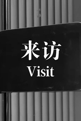 Poster for “Visit”