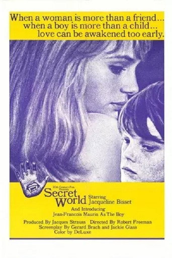 Poster for “Secret World”