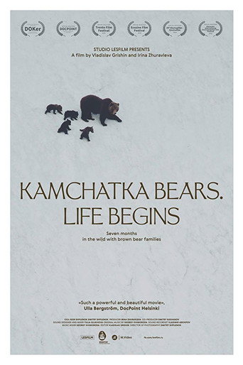 Poster for “Kamchatka Bears. Life Begins”