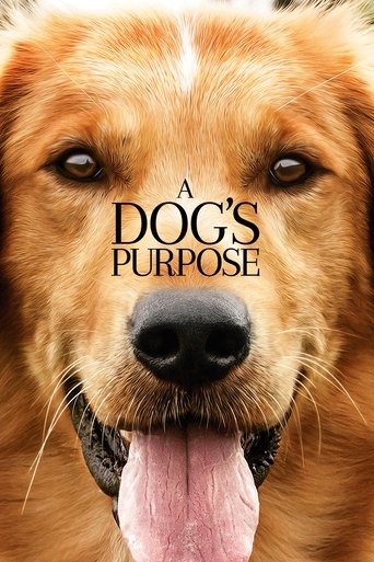 Poster for “A Dog's Purpose”