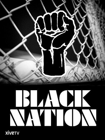 Poster for “Black Nation”