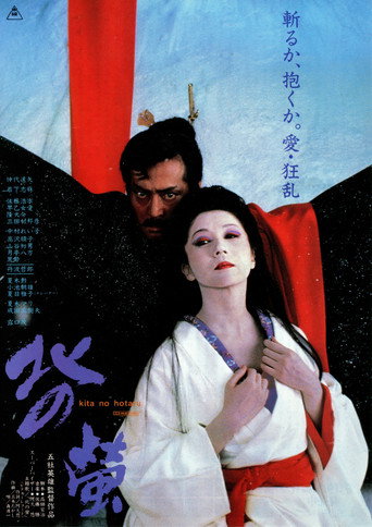 Poster for “Fireflies in the North”