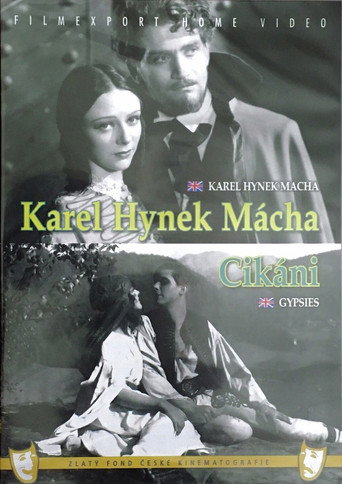 Постер фильма «Цыгане»
