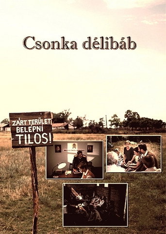 Постер фильма «Csonka délibáb»