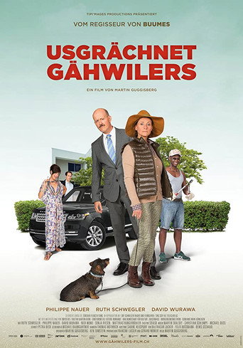 Poster for “Meet The Gähwilers”