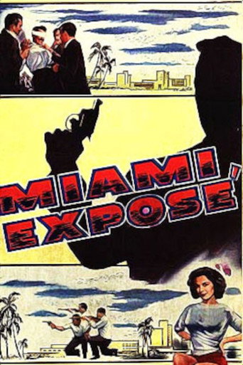 Постер фильма «Miami Exposé»