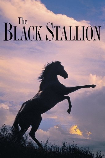 Poster for “The Black Stallion”
