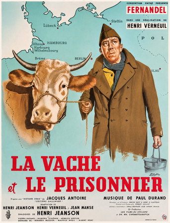 Poster for “The Cow and I”