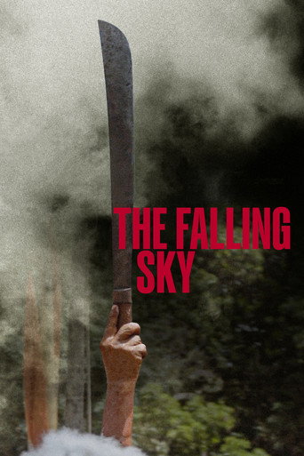 Poster for “The Falling Sky”