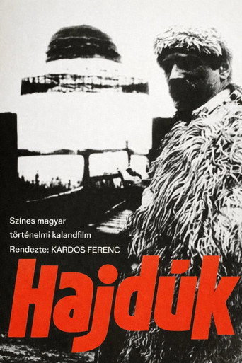 Постер фильма «Hajdúk»