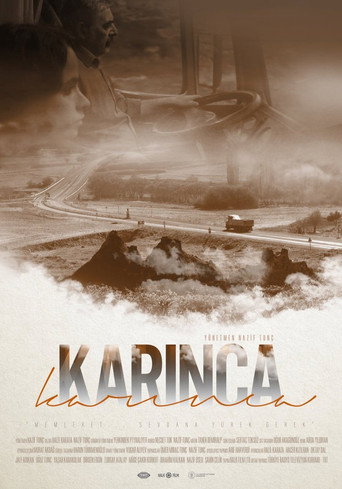 Постер фильма «Karınca»