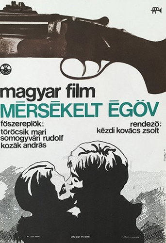 Poster for “Temperate Zone”