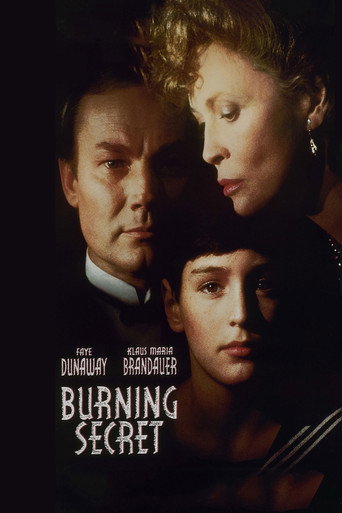 Poster for “Burning Secret”