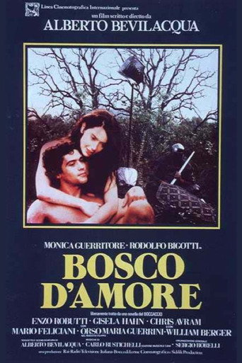 Poster for “Bosco d'amore”