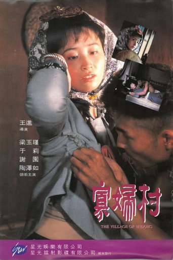 Постер фильма «寡妇村»