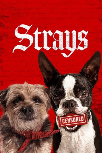 Poster for “Strays”