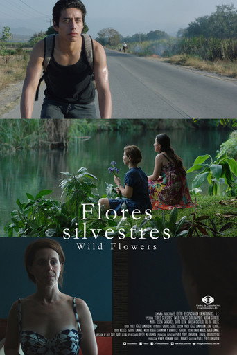 Постер фильма «Flores silvestres»