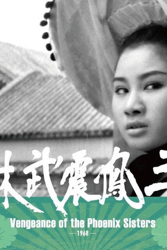 Постер фильма «三鳳震武林»