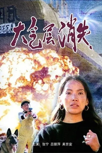 Постер фильма «大气层消失»