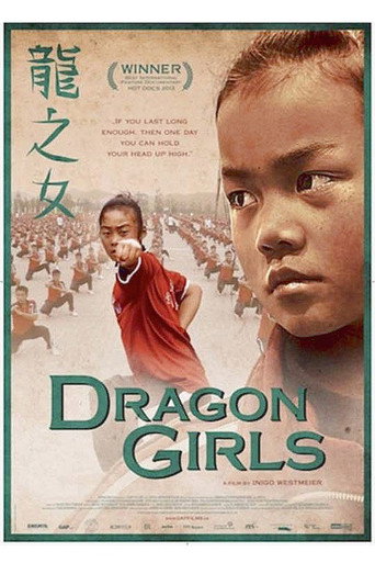 Poster for “Dragon Girls”