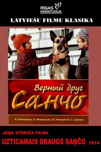 Постер фильма «Верный друг Санчо»