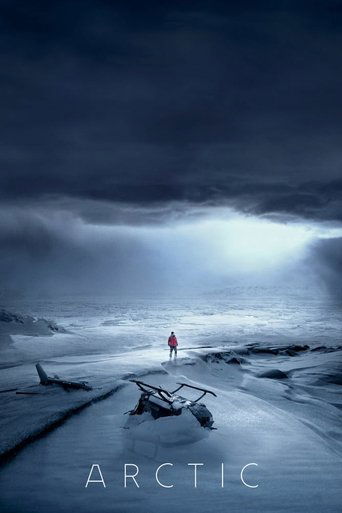 Poster for “Arctic”