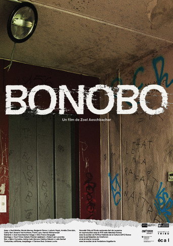 Постер фильма «Bonobo»