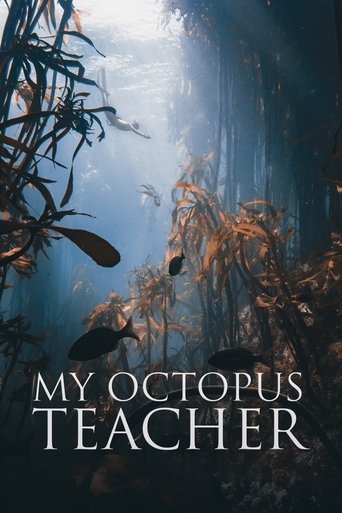 Poster for “My Octopus Teacher”