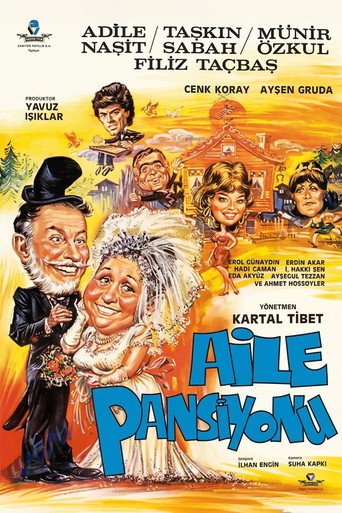 Постер фильма «Aile Pansiyonu»
