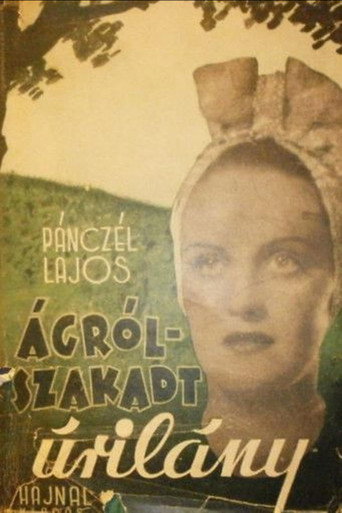 Poster for “Lady Over the Abyss”