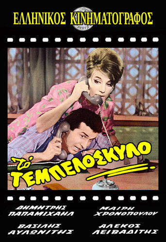Poster for “Lazy like a dog”