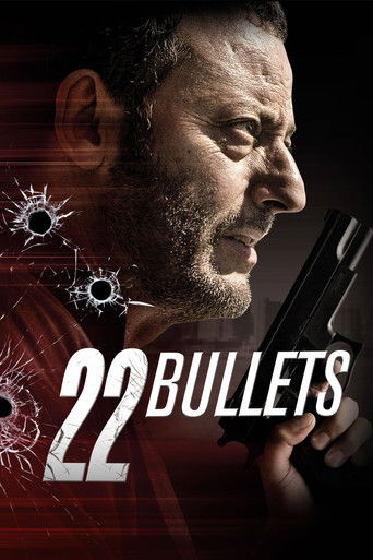 Poster for “22 Bullets”
