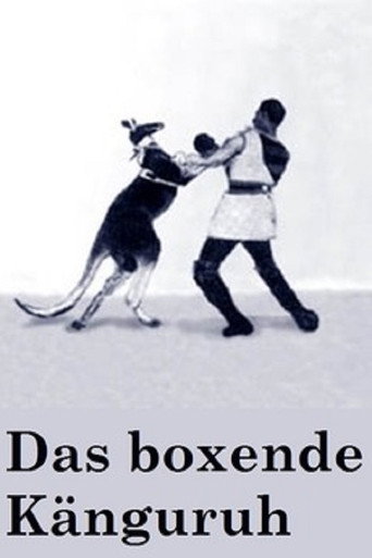 Постер фильма «Das boxende Känguruh»
