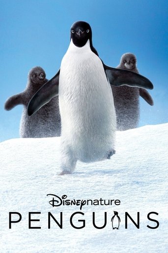 Poster for “Penguins”