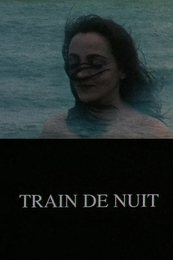 Постер фильма «Train de nuit»