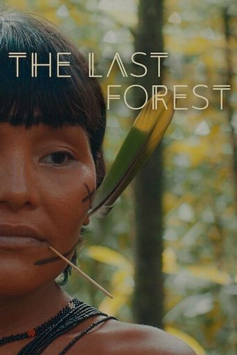 Постер фильма «A Última Floresta»