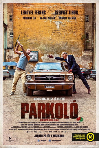 Постер фильма «Parkoló»