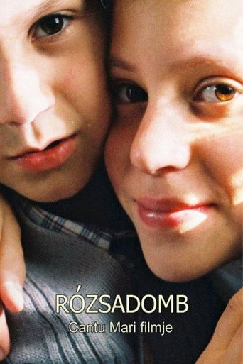 Постер фильма «Роузхилл»