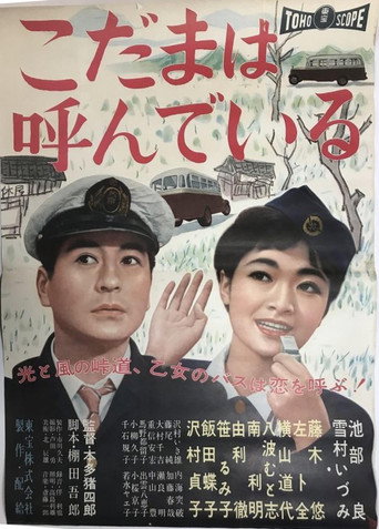 Poster for “Echo Mountain”