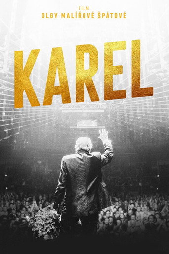 Постер фильма «Karel»