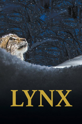 Постер фильма «Дикие кошки»