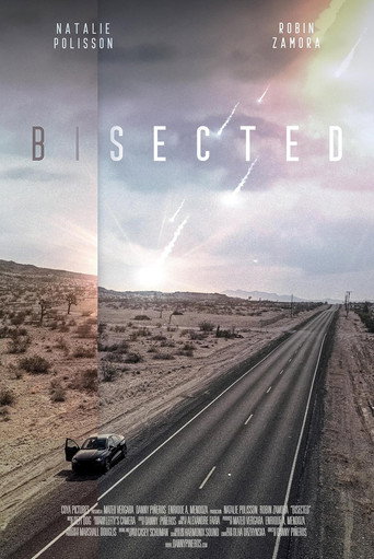 Постер фильма «Bisected»