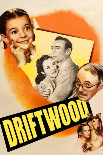 Постер фильма «Driftwood»