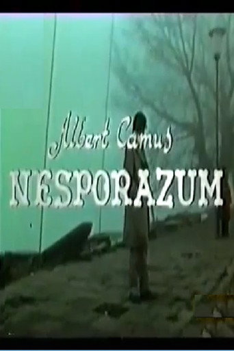 Постер фильма «Nesporazum»