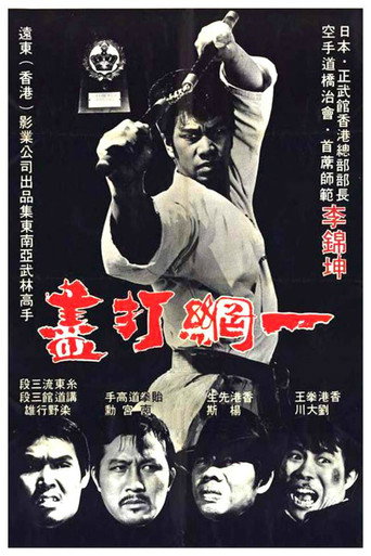 Постер фильма «一網打盡»