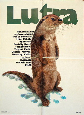 Постер фильма «Lutra»